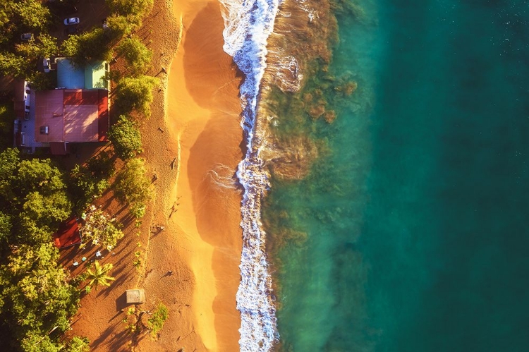 Picture of GUADELOUPE - PLAGE DE LA PERLE AERIAL