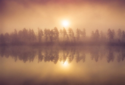 Picture of TREE LINE