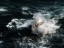 Picture of THE BOAT IN THE TEMPEST
