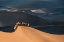 Picture of DESERT BOAT