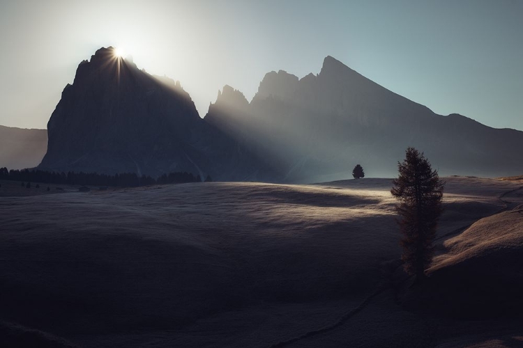 Picture of MORNING IN DOLOMITES