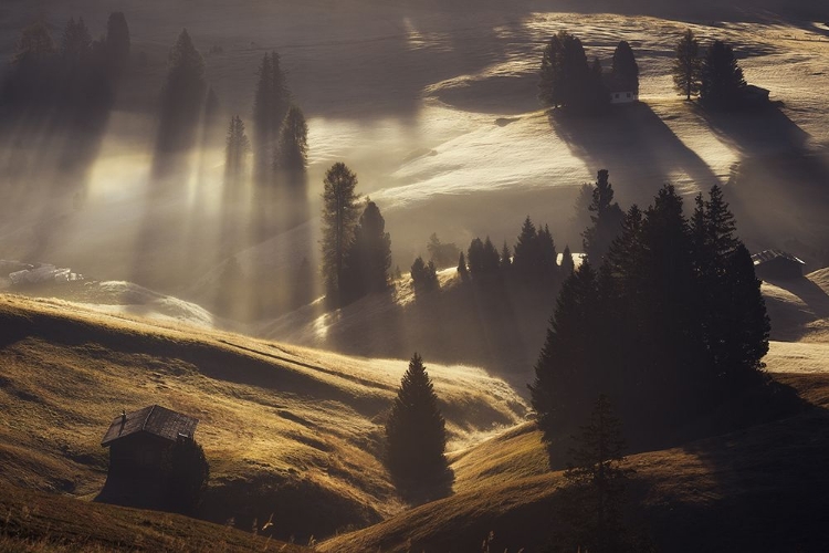 Picture of SUNRISE IN DOLOMITES