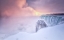 Picture of SUNRISE AT NIAGARA FALLS
