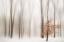 Picture of WINTER