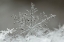 Picture of SNOWFLAKE