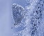 Picture of CHRISTMAS BUTTERFLY...