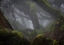 Picture of HARENNA FOREST