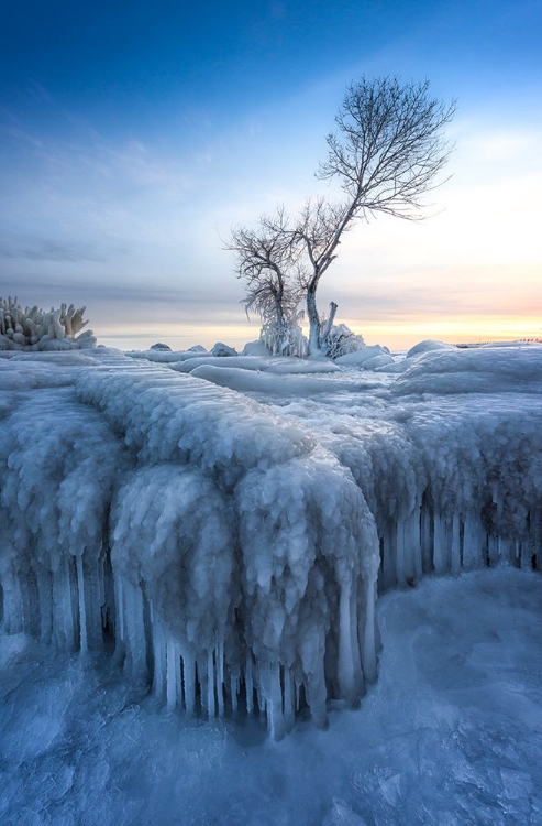Picture of WINTER WONDERLAND