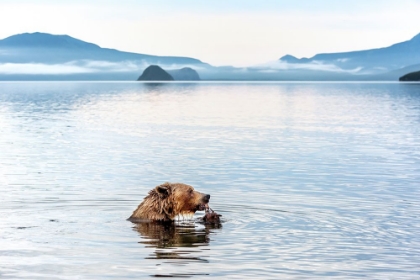 Picture of KURILE LAKE