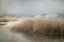Picture of WINTERMORNING