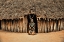Picture of MURSI HOME
