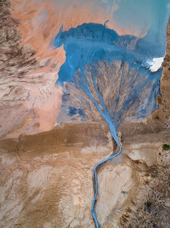 Picture of THE BLUE TREE