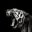Picture of PRIMAL YAWN #4