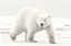 Picture of ALASKAN KING