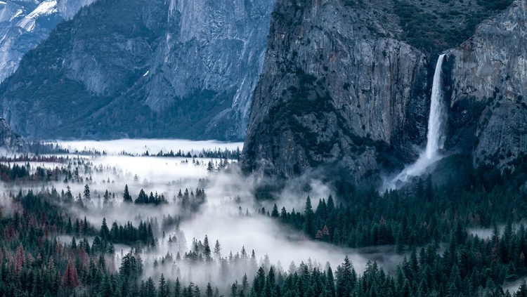 Picture of SPRING IN THE YOSEMITE VALLEY