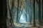 Picture of COLD LIGHT