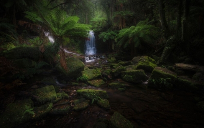 Picture of HORSESHOE FALLS