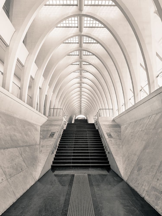 Picture of INSIDE CALATRAVA