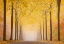 Picture of AUTUMN ROAD