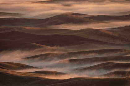 Picture of EARLY SPRING MORNING AT PALOUSE