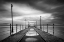 Picture of LONG WALK