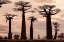 Picture of MADAGASCAR