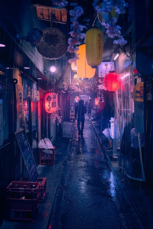 Picture of TOKYO BLUE RAIN