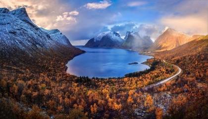 Picture of AUTUMN IN SENJA