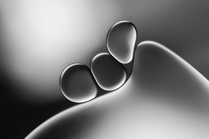 Picture of SILVERY SHAPES