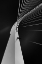 Picture of BRIDGE