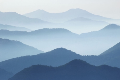 Picture of BLUE WAVES