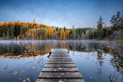 Picture of AUTUMN PIER