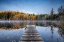 Picture of AUTUMN PIER