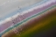 Picture of CROSSING COLOR LINES