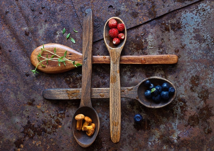 Picture of FOREST STILL LIFE