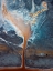 Picture of SALT FIELDS