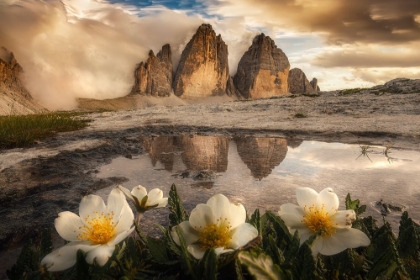 Picture of TRE CIME DI LAVAREDO-ALWAYS GREAT EMOTIONS!