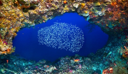 Picture of UNDERWATER CAVE