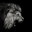 Picture of ROARING LION #2