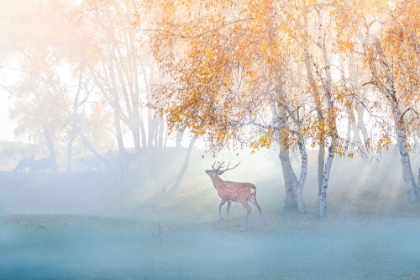 Picture of ELK LOST IN MIST