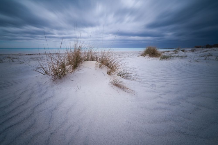 Picture of BEACH WHITE