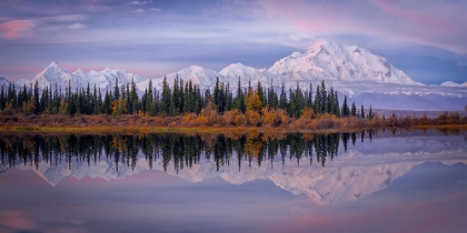 Picture of DENALI REFLECTION