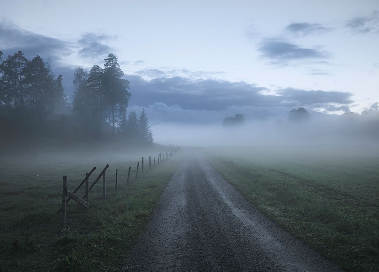 Picture of MOODY ROAD