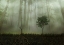 Picture of ROOT 2