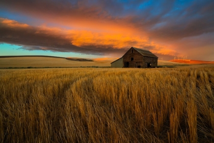 Picture of STORM OVER PALOUSE