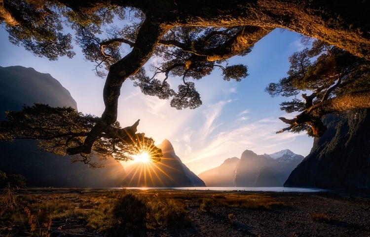Picture of SUNNY DAY IN MILFORD SOUND