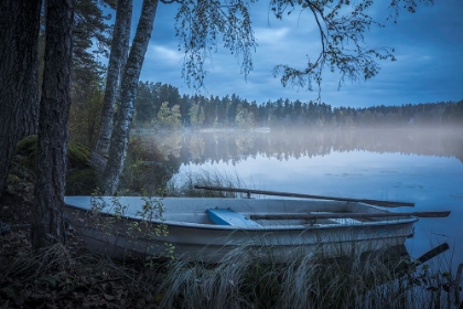 Picture of LAKE OF MIST