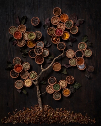 Picture of TREE OF SPICE