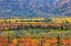 Picture of FALL COLOR IN THE MOUNTAIN