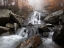 Picture of AUTUMN FOG